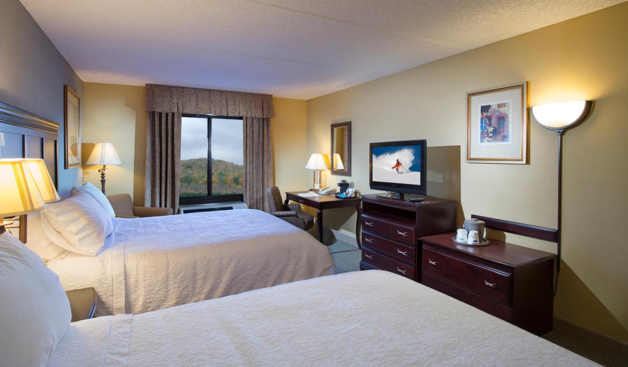 Hotel Hampton 3*