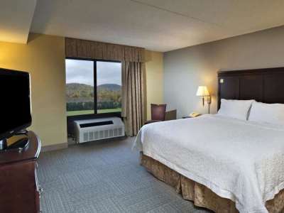 Hotel Hampton 3*