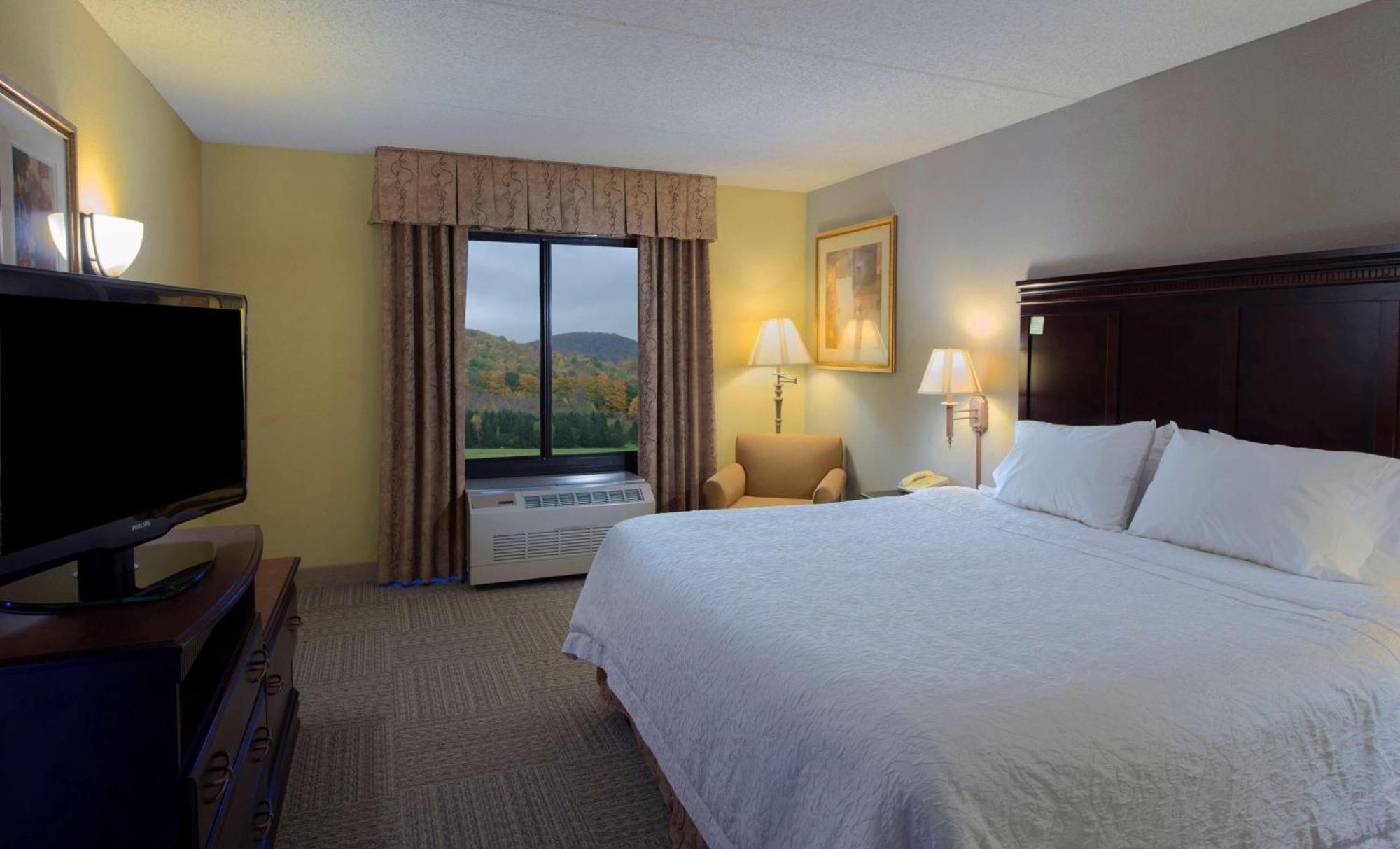 Hotel Hampton 3*