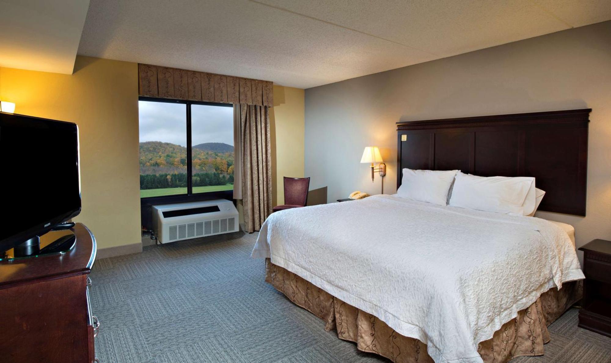 Hotel Hampton 3*