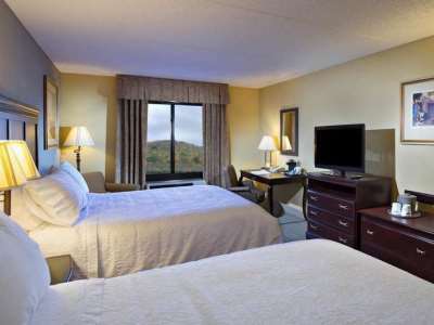 Hampton 3*
